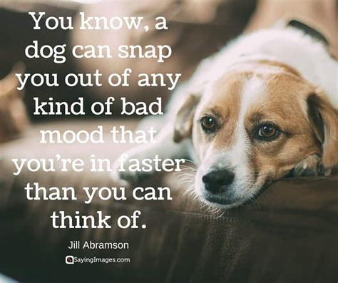 20 Cute And Famous Dog Quotes