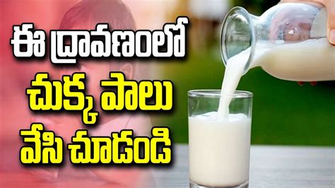 How To Check Milk Adulteration Simple Milk Adulteration Tests
