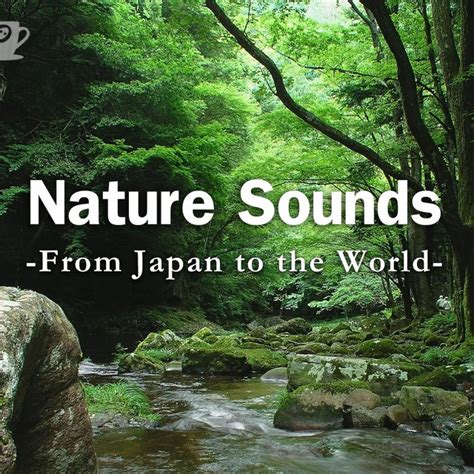 Nature Sounds On Spotify