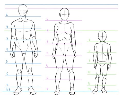 Body Proportions Ideas In Anatomy Reference Anatomy Drawing My Xxx