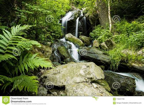 Cascade Falls Over Mossy Rocks Stock Photo Image Of Leaf National