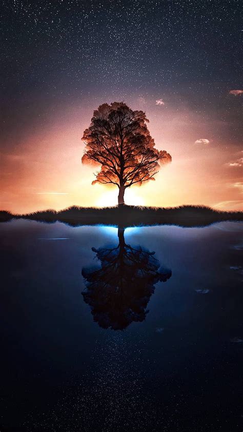 Arbol De La Vida Fondo De Pantalla De Teléfono Hd Peakpx