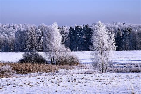 CzpohÁdka Zima V Přírodězima Fotografie Krajina Pavel Kysela