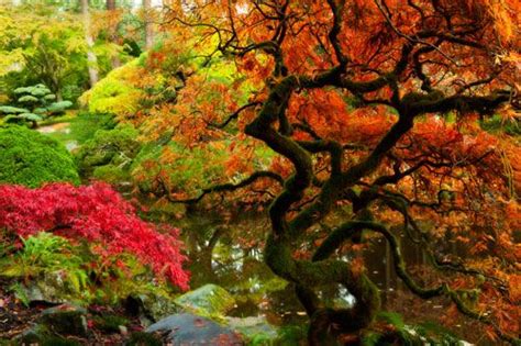 Japanese Garden At Bloedel Reserve Japanese Garden