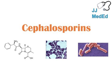Cephalosporin Antibiotics 1st To 5th Generation Mechanism Side