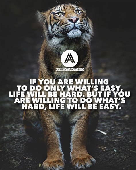 33 Tiger Images Quotes