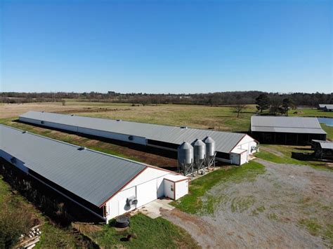 There are several great hotel options, so you can come and enjoy the historic festhalle market platz or chow down on some strawberry pie at the annual strawberry festival. Cullman County Poultry Farm : Lot for Sale in Cullman ...
