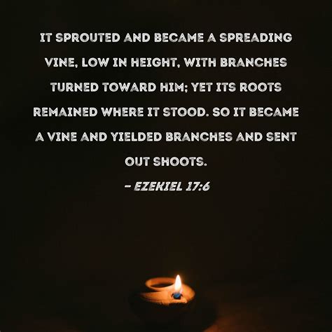 Ezekiel 176 It Sprouted And Became A Spreading Vine Low In Height