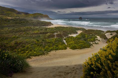 Sandfly Bay Otago Peninsula Sandfly Bay Is Located On The Flickr