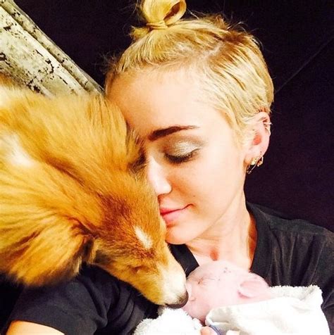Miley Cyrus Adopte Un Animal De Compagnie étonnant Photos Closer