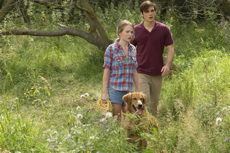 And, since true love never dies, and no truer love comes from a a dog's journey picks up where a dog's purpose left off. Imagini A Dog's Purpose (2017) - Imagini Câinele ...