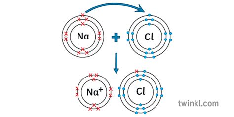 Nacl Ionic Bond Dot And Cross Diagram Science Ks4 Illustration Twinkl
