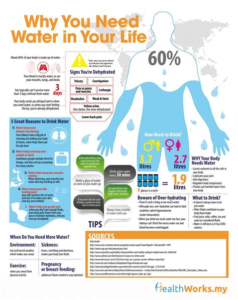 Water Infographic Why You Need Water In Your Life