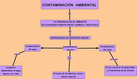 Mapa Conceptual Contaminacion Ambiental Images