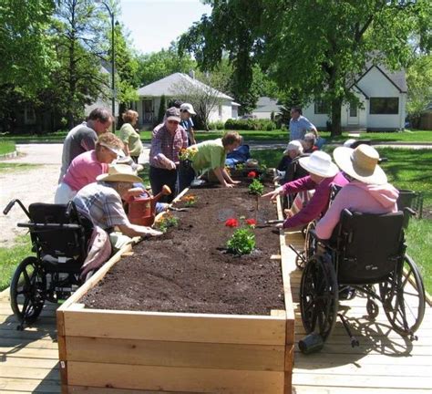 10 Impressive Wheelchair Gardening Raised Beds Gallery