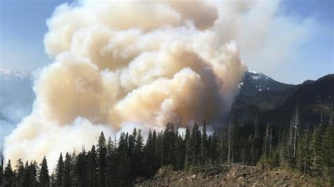 Number Of Wildfires Hectares Burned In Bc So Far Significantly