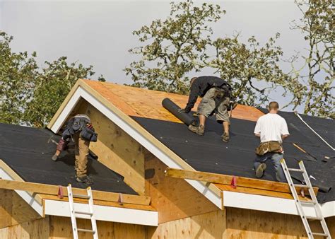 Top Roof Maintenance Tips For Gulfport Ms Homes