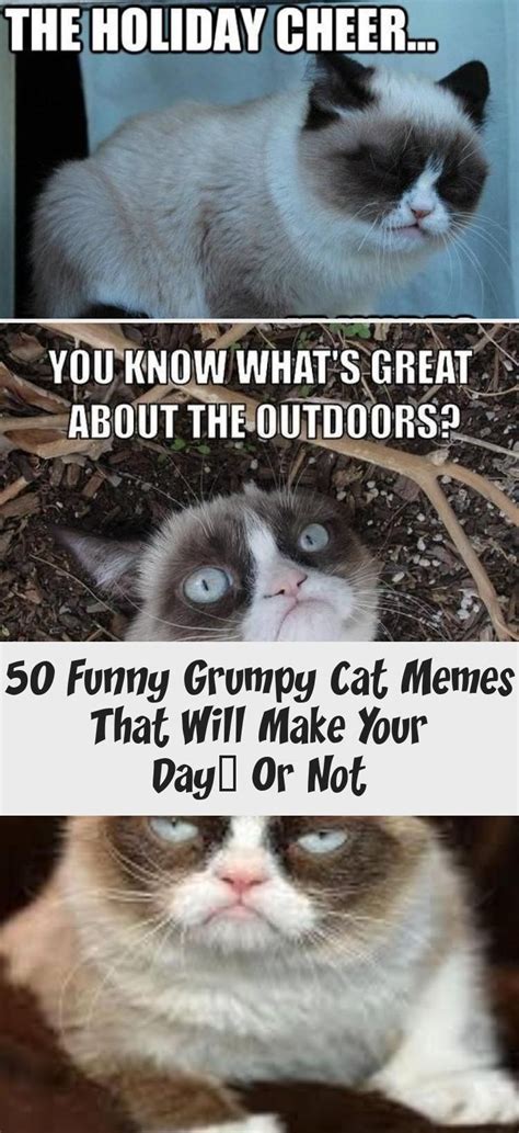 50 Funny Grumpy Cat Memes That Will Make Your Day Or Not Cats
