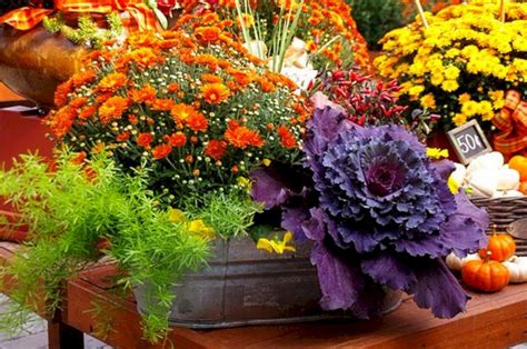 35 Foremost Fall Container Gardening Ideas Decoredo