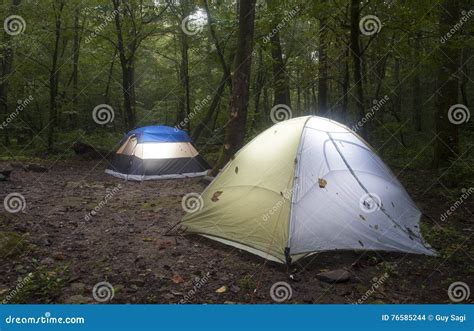Dark Forest Camping Stock Photo Image Of Gray Camping 76585244