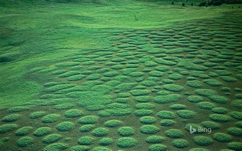 Mima Mounds At Oregons Zumwalt Prairie Usa Bing Wallpapers Sonu Rai