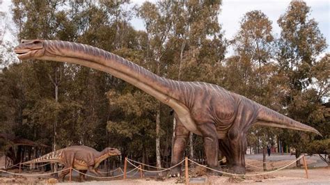 They first appeared during the triassic period, between 243 and 233.23 million years ago, although the exact origin and timing of the evolution of dinosaurs is the subject of active research. El Ciudadano | ¿Cuál fue el dinosaurio más grande que ...
