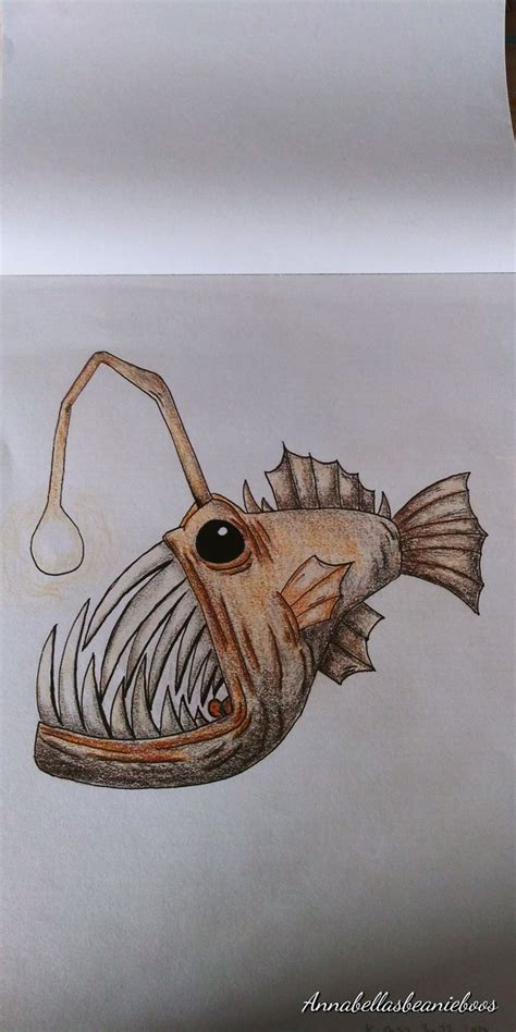 Anglerfish Drawing Fish Cartoon Drawing Angler Fish Drawing Fish Art