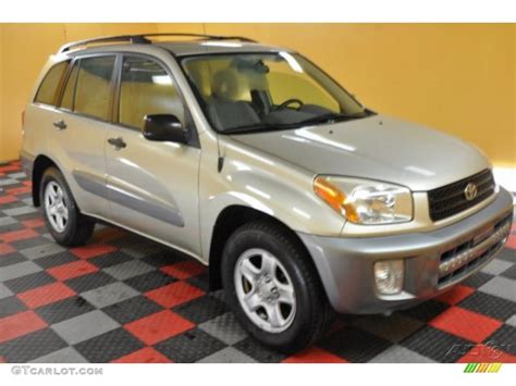 2003 Vintage Gold Toyota Rav4 43556529 Car Color