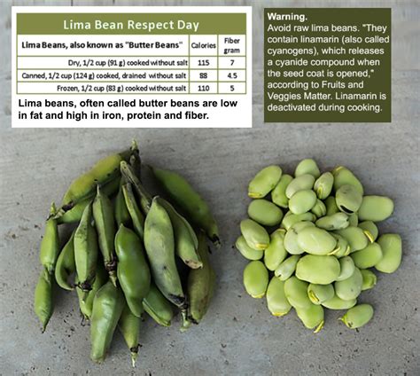 Dietitians Online Blog Lima Bean Respect Day