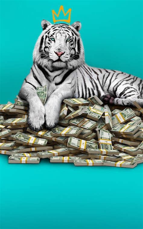 1600x2560 Netflix The White Tiger 1600x2560 Resolution Wallpaper Hd
