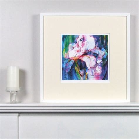 Pink Iris Limited Edition Fine Art Canvas Print By Susan Miller Fine