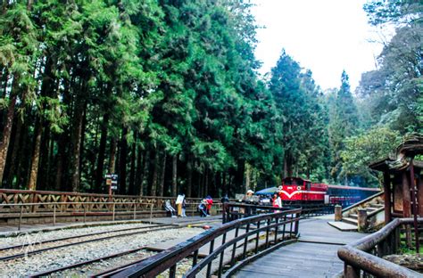 Taiwan Alishan Main Attraction Alishan National Scenic Area 阿里山國家風景區