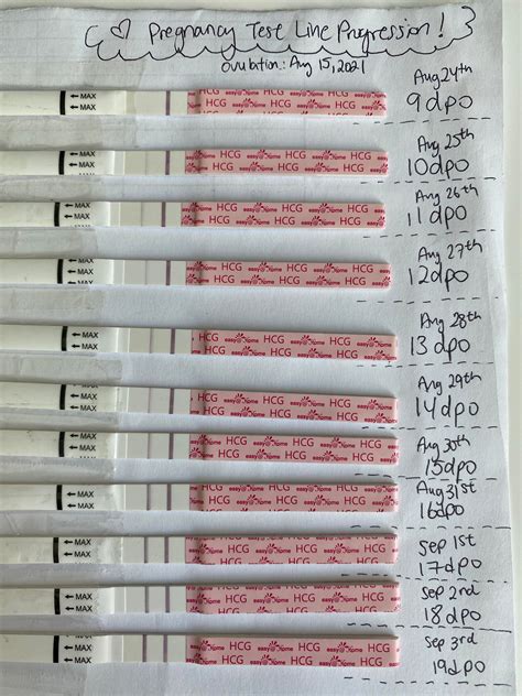 Line Progression 9 Dpo 19 Dpo Easyhome Hcg Pregnancy Tests 🙏