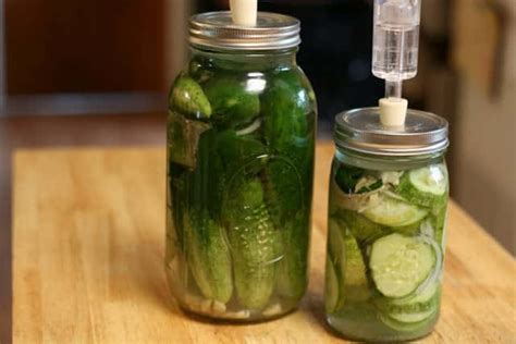 Four Ways Of Preserving Cucumbers Schneiderpeeps