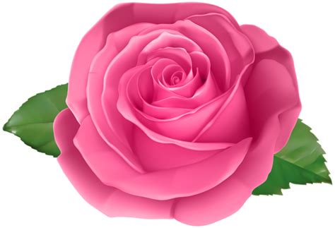 Beautiful Flower Drawings Very Beautiful Flowers Pink Rose Png Pink