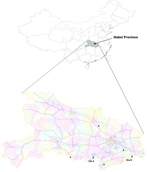 Geographic Location Of Hubei Province China Collection Sites In This