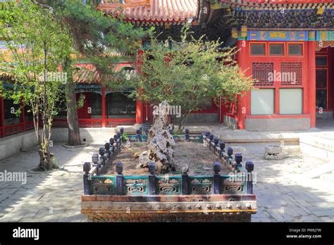 Chinese Garden Inside The Forbidden City Beijing China Stock Photo