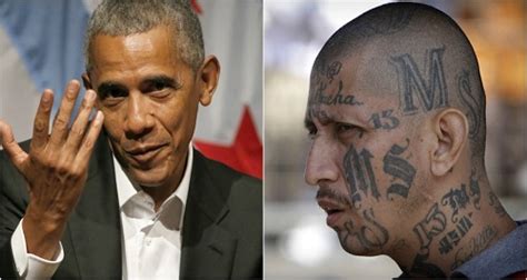 Two members were charged with murder and. Whistleblower confirms Obama knew MS-13 members were part ...