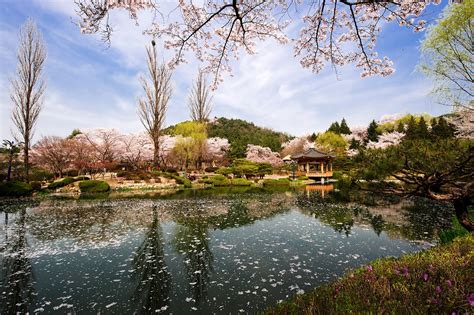 10 Tempat Wisata Di Korea Selatan Yang Wajib Dikunjungi