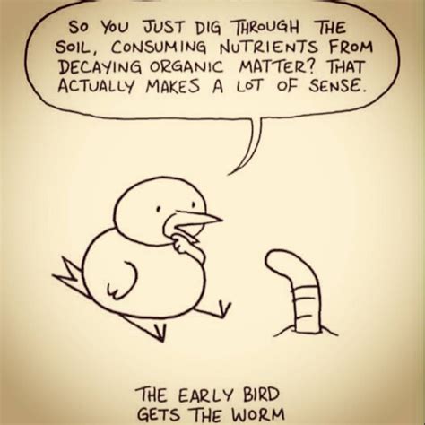 Early bird — early ,bird noun count informal 1. The early bird gets the worm. : MadeMeSmile