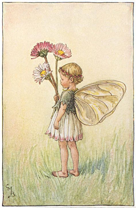 Illustration For The Daisy Fairy From Flower Fairies Of The Spring A