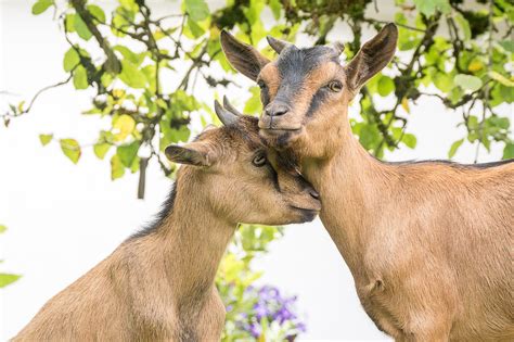 Wie schreibt man den einspruch und was sollte er enthalten? Wie schreibt man Liebe...?