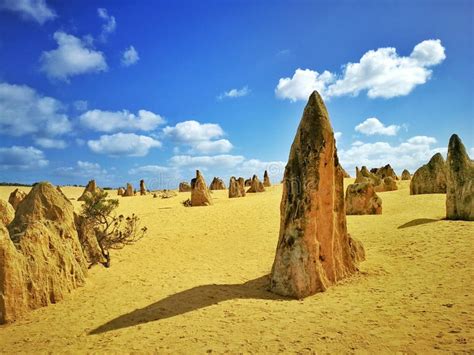 The Pinnacle Desrt The Limestone Formations Within Nambung National