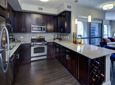 Luxury Apartment Kitchen Amli River North Chicago Luxury Apartment