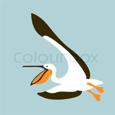 Pelican Vector Illustration Flat Stock Vector Colourbox