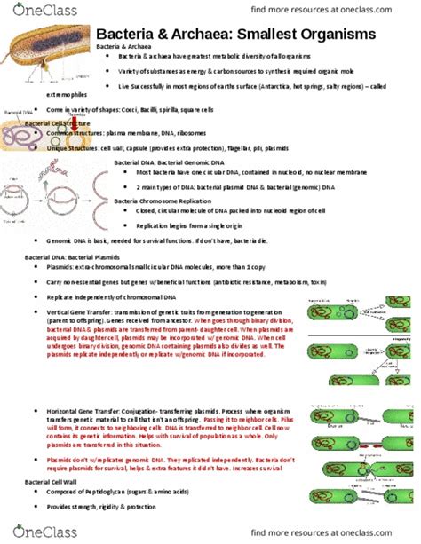 BIOL 1000 Lecture Notes Fall 2016 Lecture 7 Electrochemical