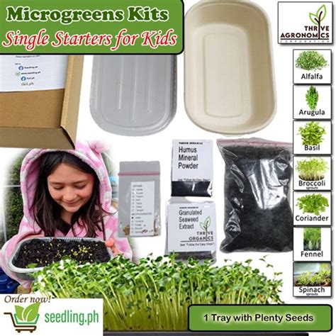 Thrive Microgreens Kits For Kids 1 Set Seedling Ph
