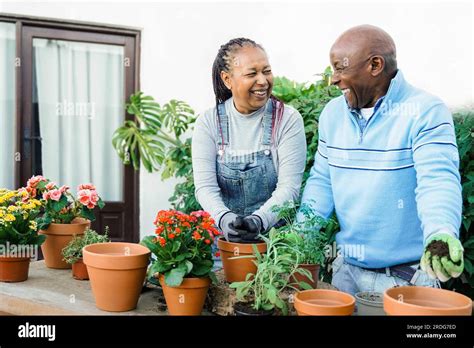 African Senior People Gardening With Flowers In Backyard House