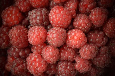Free Images Raspberry Fruit Berry Sweet Food Red Produce Close