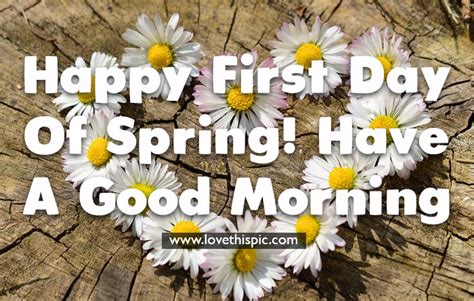 Daisy First Day Of Spring Good Morning Quote Pictures Photos And